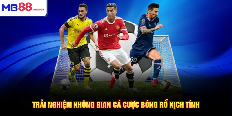 Trải nghiệm không gian cá cược bóng rổ kịch tính